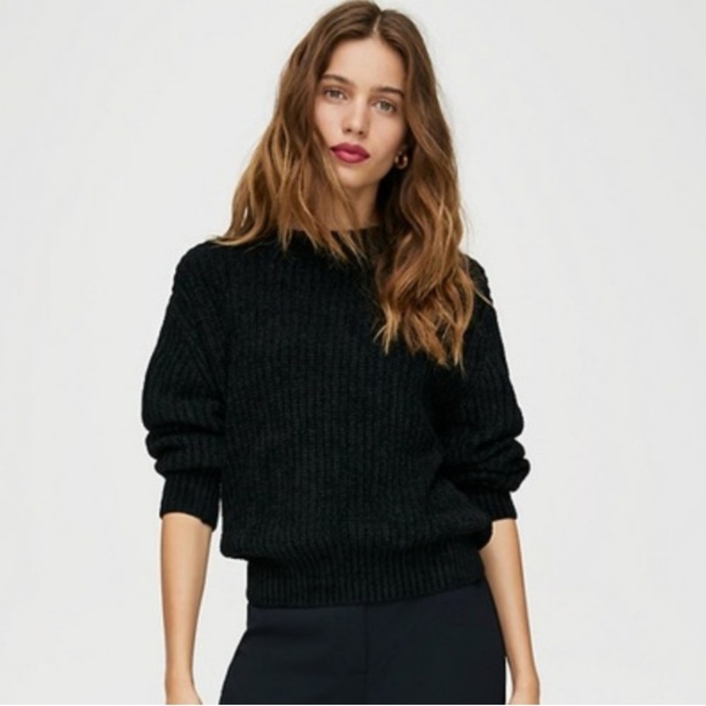 Aritzia Wilfred Essential Chenile Sweater